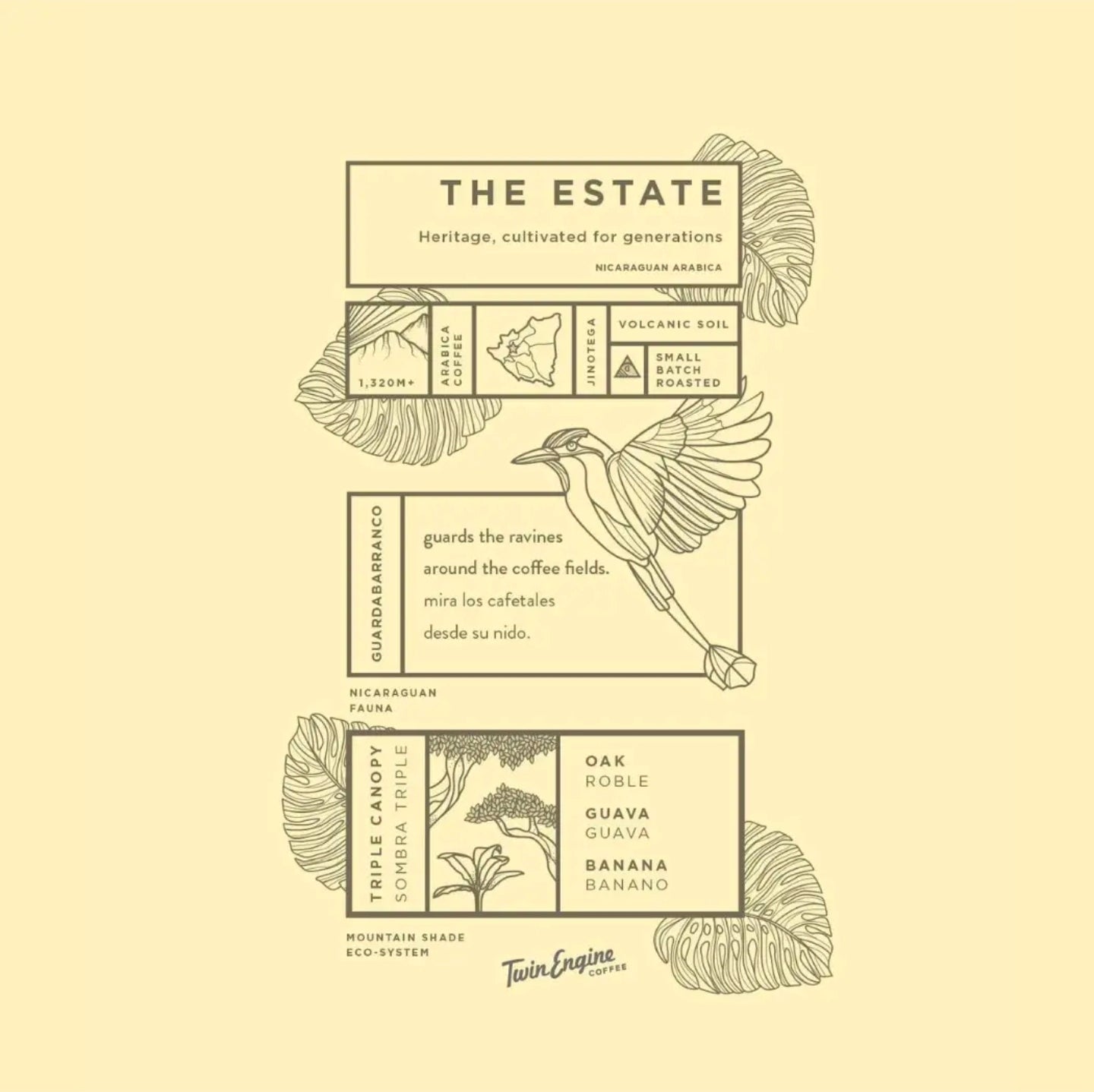 Twin Engine - The Estate, Ground
