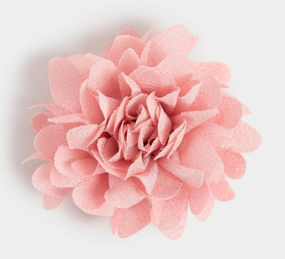 Many Thanks | Educator Edition For Her