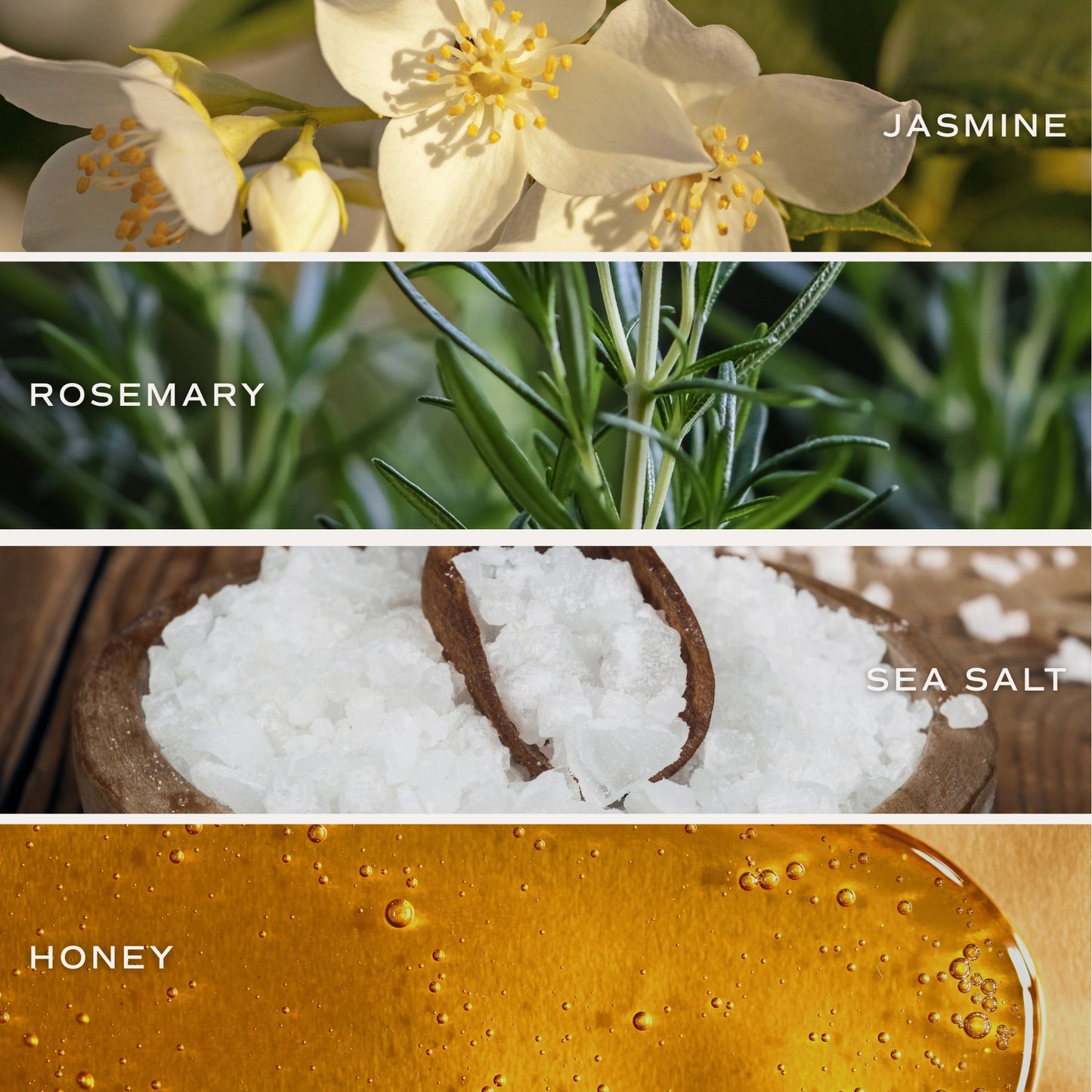 Wildflower and Salt Reed Diffuser